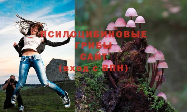 мет Алзамай