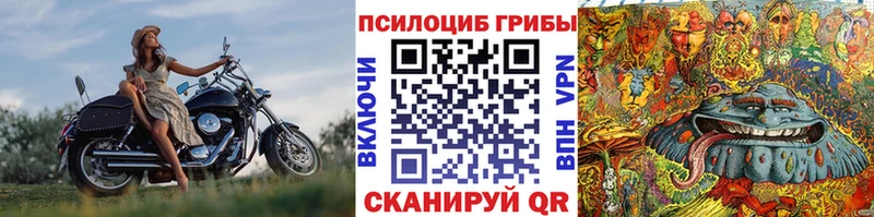 Псилоцибиновые грибы GOLDEN TEACHER  Дмитриев 